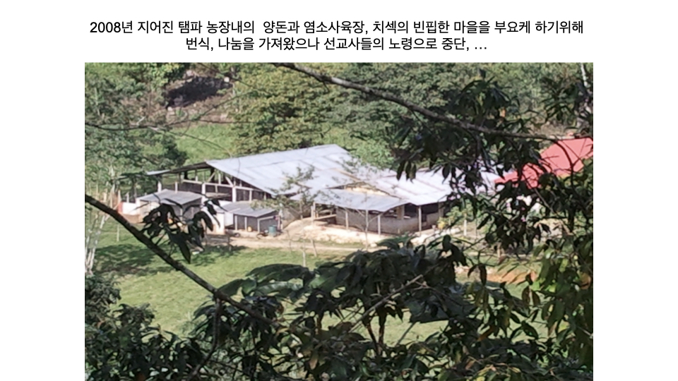 선교보고 8.10.007