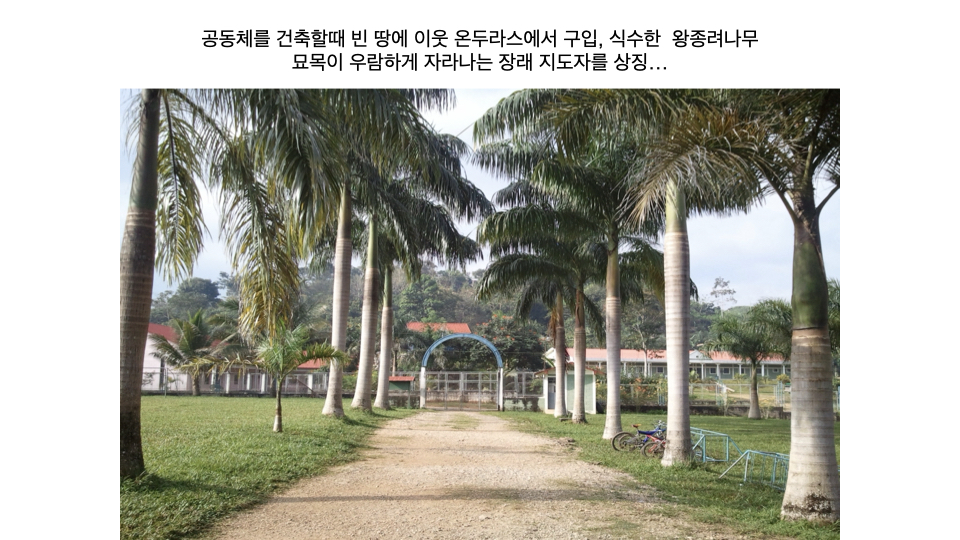 선교보고 8.10.010